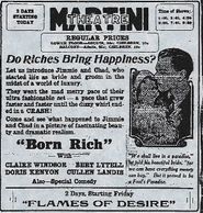  Born Rich Poster