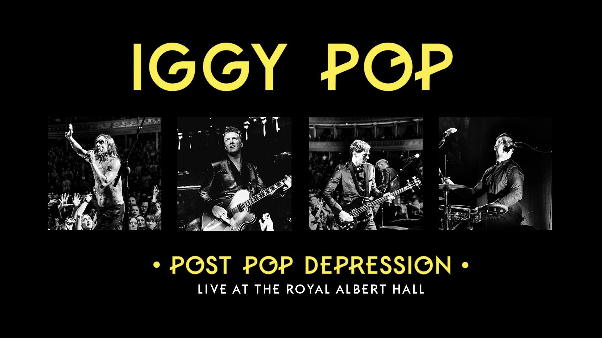 Iggy Pop: Post Pop Depression Backdrop