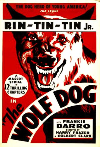  The Wolf Dog Poster