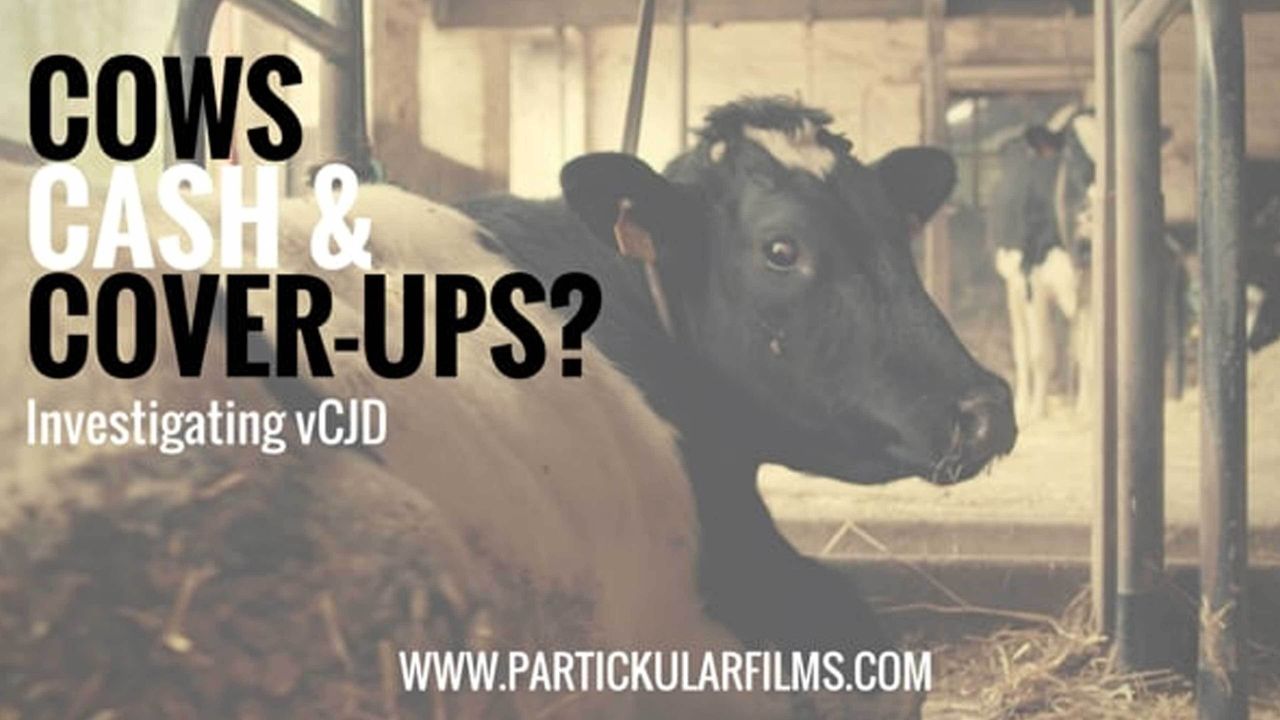 Cows, Cash & Cover-ups? Investigating VCJD Backdrop