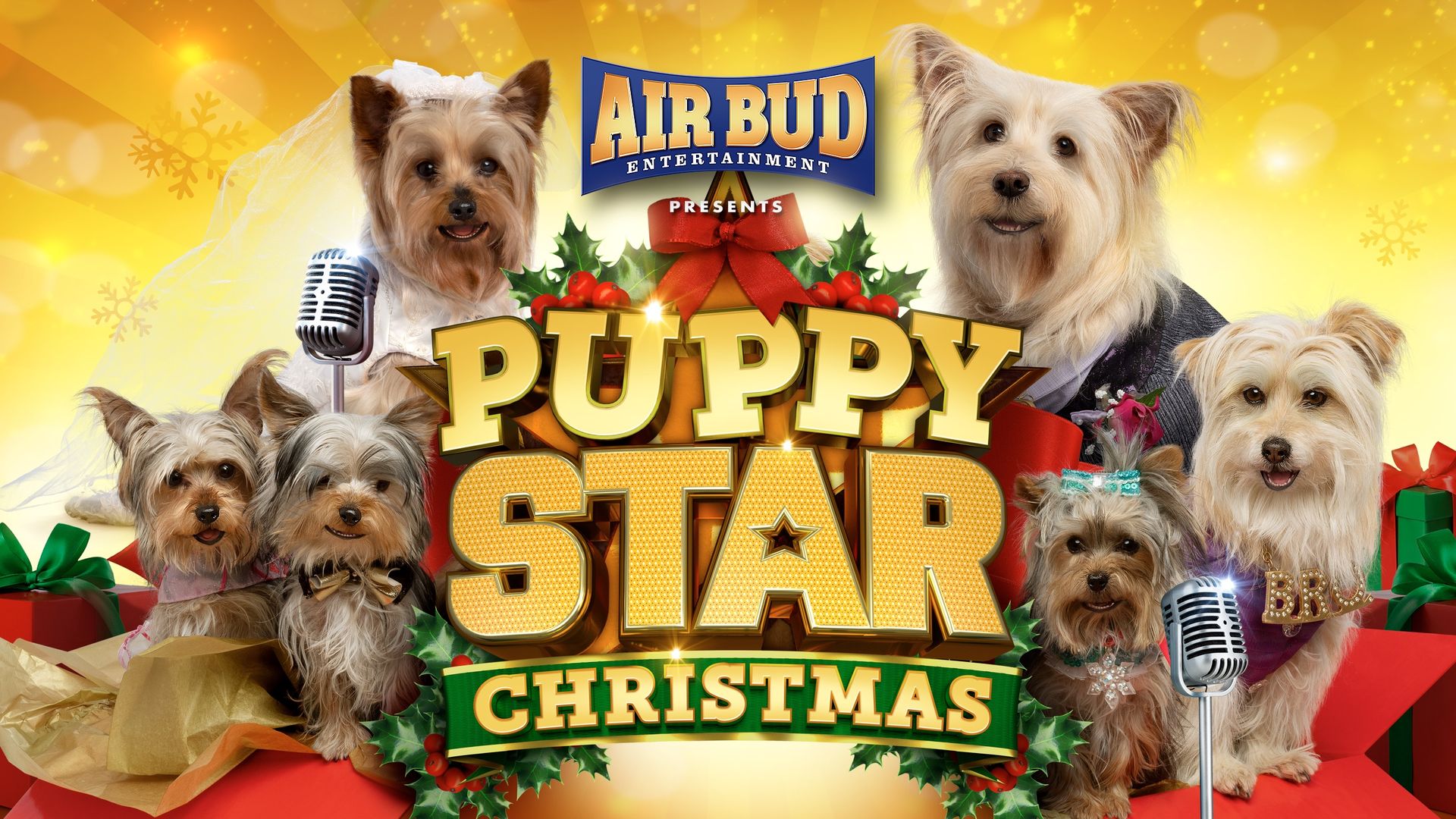 Puppy Star Christmas Backdrop