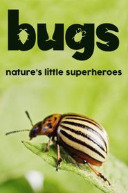  Les insectes, des héros à six pattes Poster