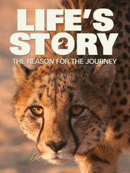  Life's Story 2: The Reason for the Journey Poster