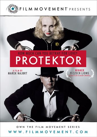  Protector Poster