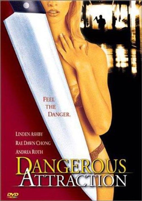 Dangerous Attraction Poster