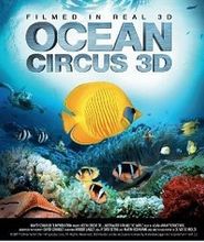  Ocean Circus 3D - Underwater Around the World Poster