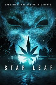  Star Leaf Poster
