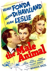  The Male Animal Poster