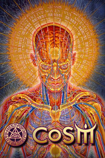  Alex Grey & The Chapel of Sacred Mirrors COSM The Movie Poster