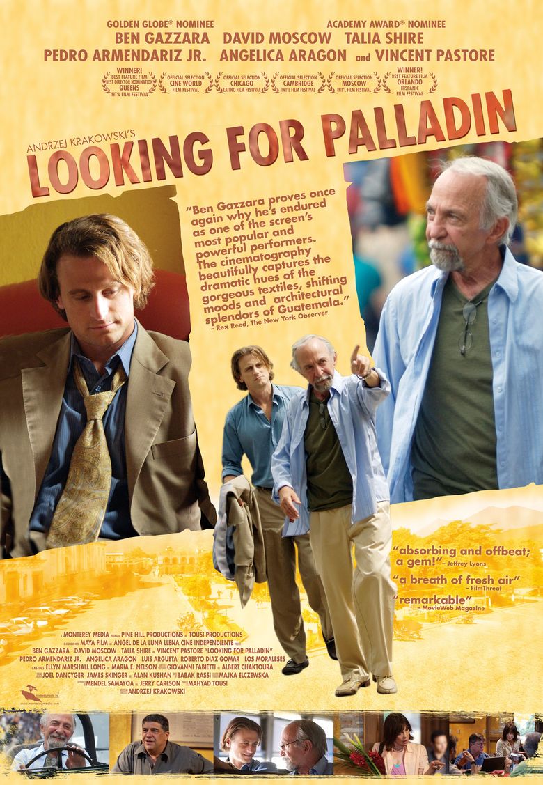 Looking for Palladin Poster