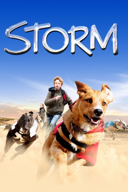 Storm Poster