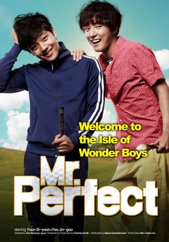  Mr. Perfect Poster