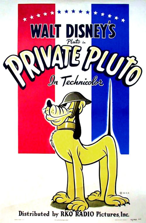 Private Pluto Poster
