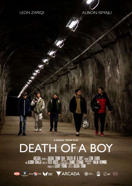 Death of a Boy Poster