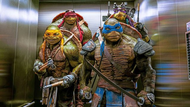 Teenage Mutant Ninja Turtles Backdrop