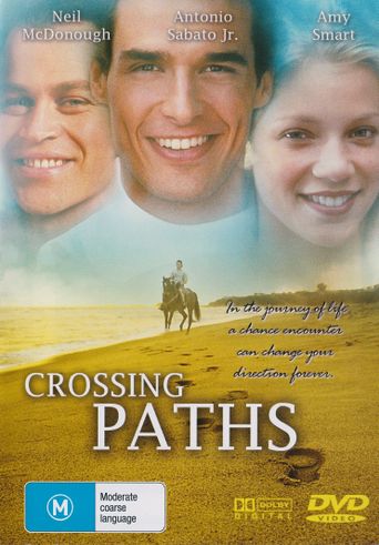  Crossing Paths Poster