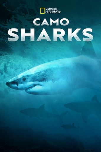  Camo Sharks Poster