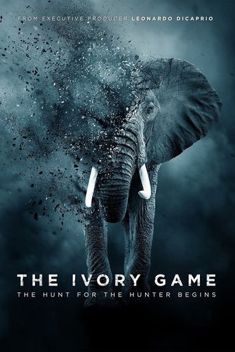  The Ivory Game Poster