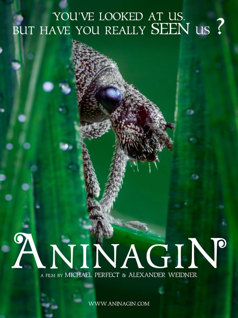 Aninagin