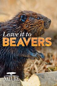  Leave it to Beavers Poster