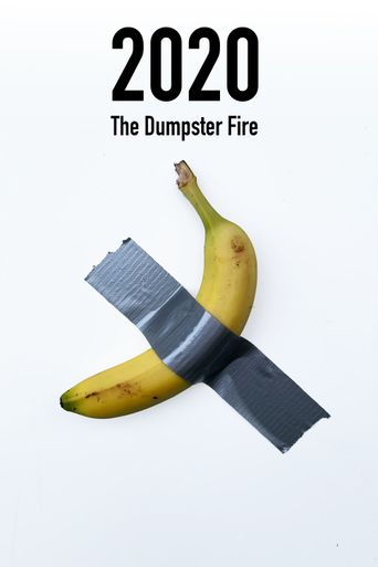  2020: The Dumpster Fire Poster