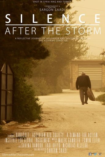  Silence After the Storm Poster