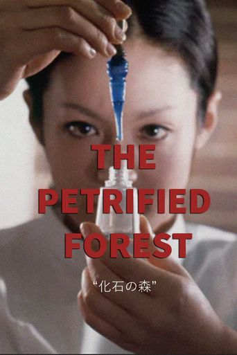 The Petrified Forest Poster