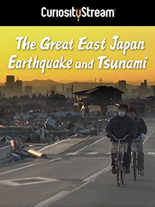 2025 great east japan tsunami hawaii