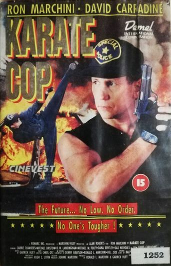  Karate Cop Poster