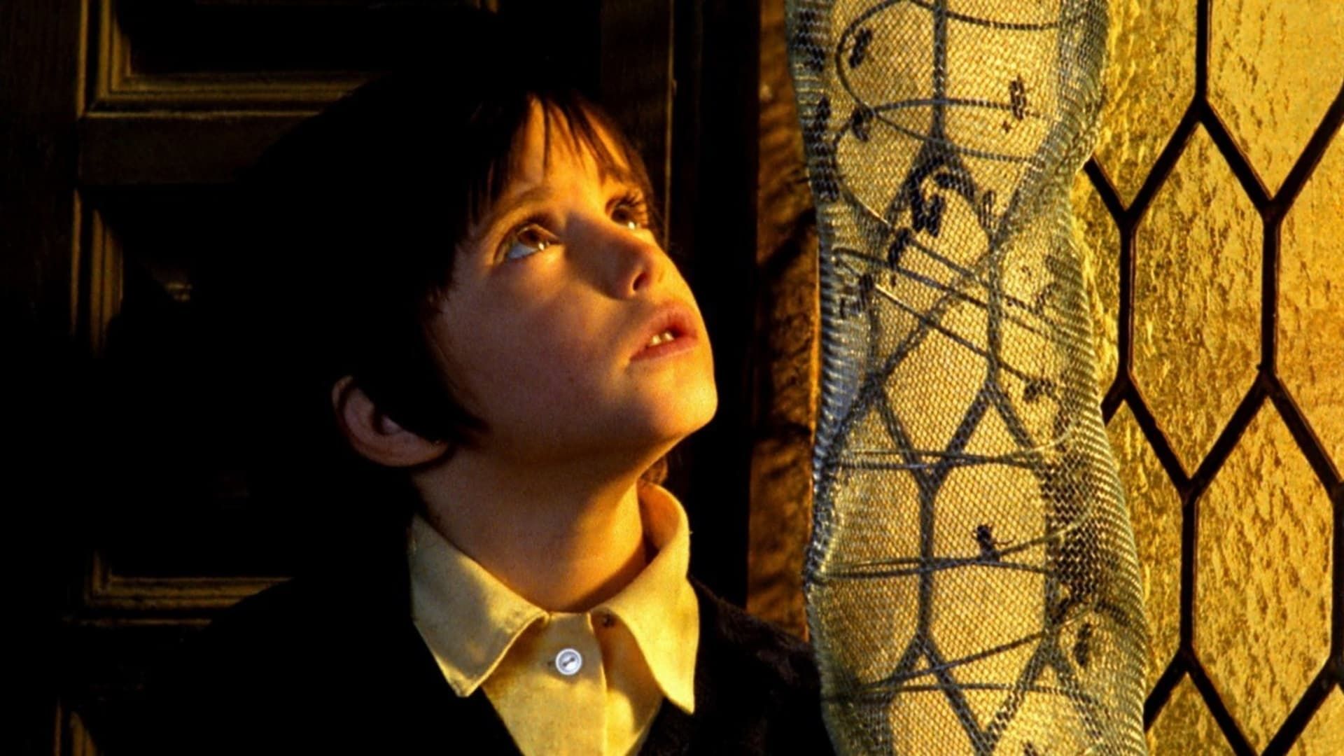 The Spirit of the Beehive Backdrop