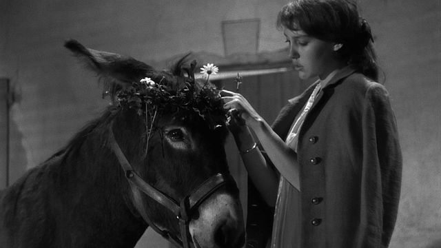 Au hasard Balthazar Backdrop