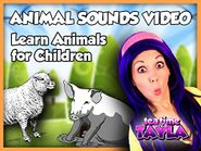  Learn Animal Sounds - Learn Animals for Children - Animal Game for Kids on Tea Time with Tayla Poster