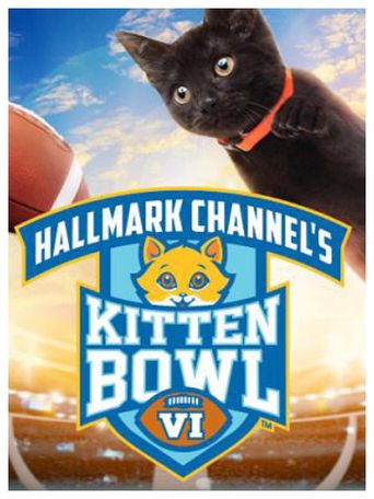  Kitten Bowl VI Poster