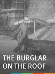  The Burglar on the Roof Poster