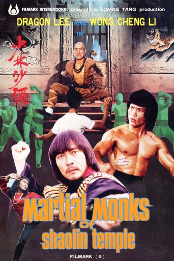  Martial Monks of Shaolin Temple Poster