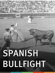 Spanish Bullfight Poster
