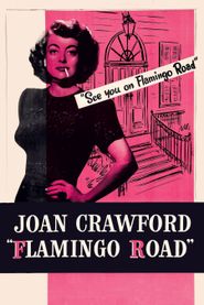  Flamingo Road Poster