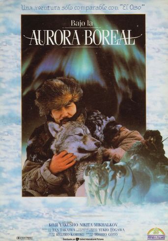  Aurora Borealis Poster