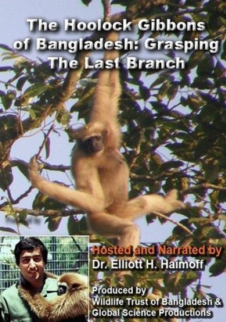 Hooloock Gibbons: Grasping The Last Branch