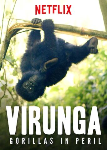  Virunga: Gorillas in Peril Poster