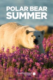  Polar Bear Summer Poster