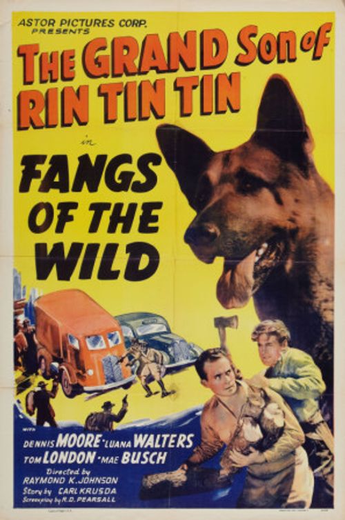 Fangs of the Wild Poster