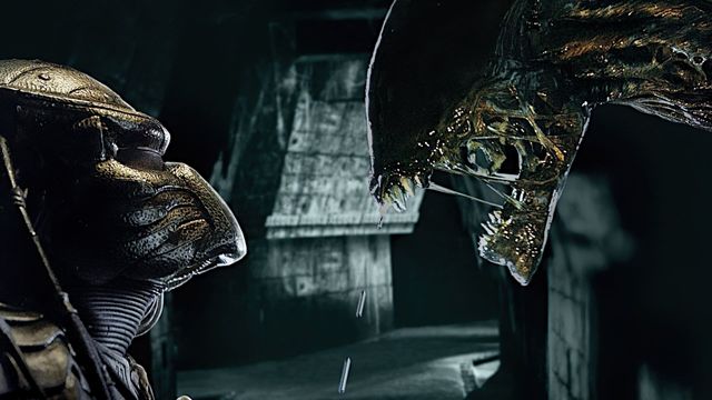 Alien vs. Predator Backdrop