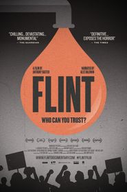  Flint Poster