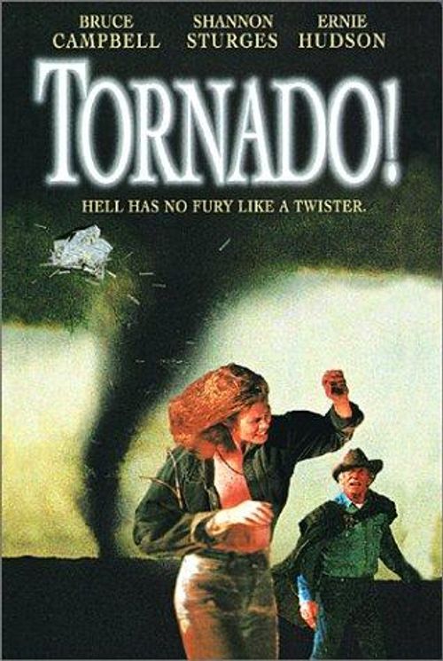 Tornado! Poster