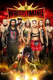  WrestleMania 35 Poster