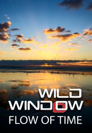 Wild Window: Flow of Time Poster