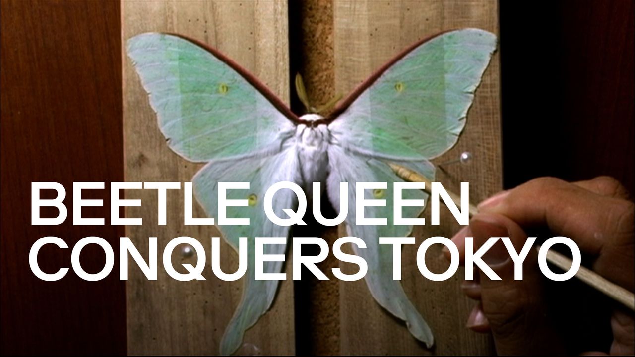 Beetle Queen Conquers Tokyo Backdrop