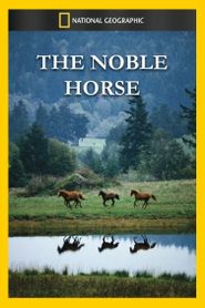  The Noble Horse Poster
