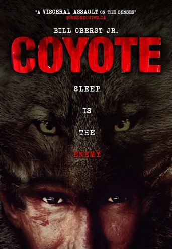  Coyote Poster
